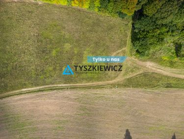 Zdjęcie 15972156 - 5