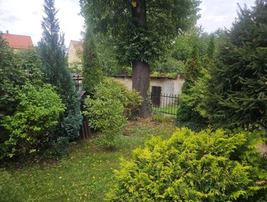 Zdjęcie ogłoszenia - 15972290