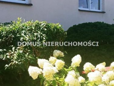 Zdjęcie ogłoszenia - 15972496