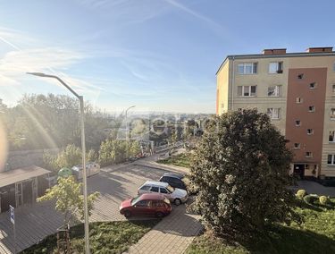 15972973 - zdjęcie ogłoszenia