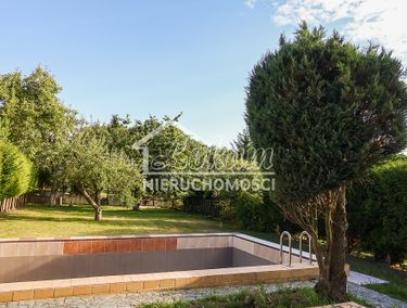Zdjęcie ogłoszenia - 15972980