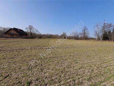 Zdjęcie 15973162 - 4