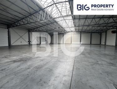 Zdjęcie 15973411 - 1