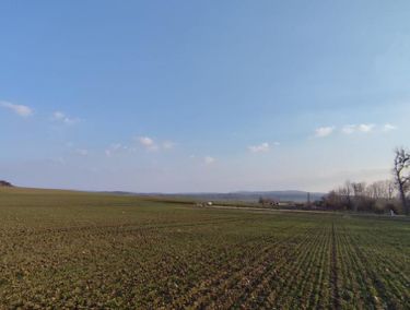 Zdjęcie ogłoszenia - 15973811