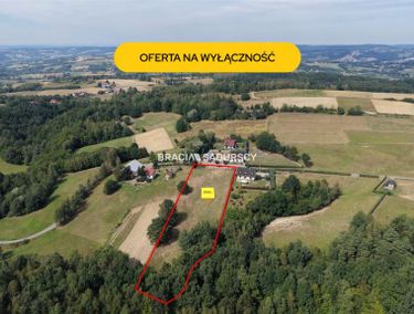 Zdjęcie 15974317 - 3