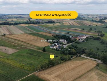 Zdjęcie 15974347 - 6