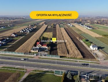 Zdjęcie 15974371 - 8