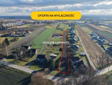 Zdjęcie 15974398 - 2