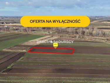 Zdjęcie 15974426 - 4