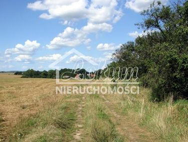 15974575 - zdjęcie ogłoszenia