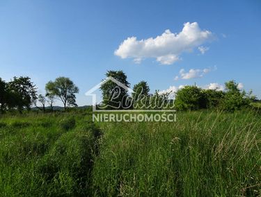 Zdjęcie ogłoszenia - 15974580