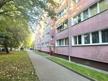 Zdjęcie 15974736 - 2