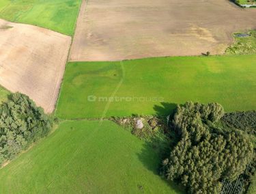 Zdjęcie 15974763 - 5