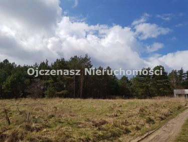 Zdjęcie ogłoszenia