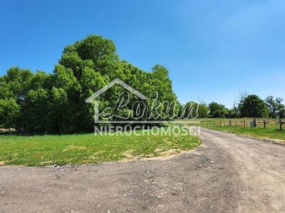 Działka budowlana 957&nbsp;m², Buk - 15965223