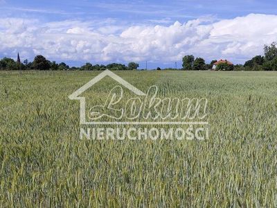 Działka budowlana 1195 m², Żarnowo - 15967155
