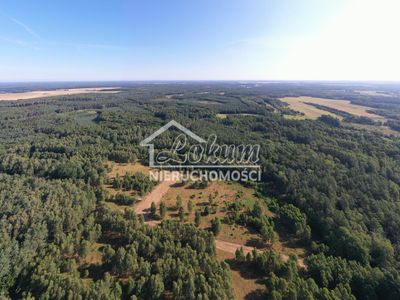 Działka budowlana 2,90 ha, Osina - 15969086