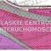 Obrazek 1 - oferta: 15876907
