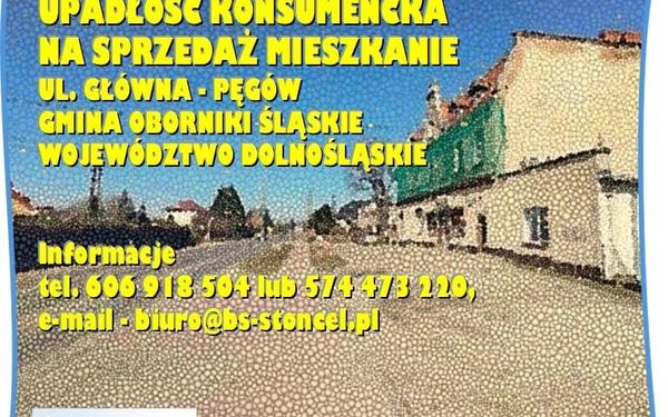 Zdjęcie ogłoszenia 15508834