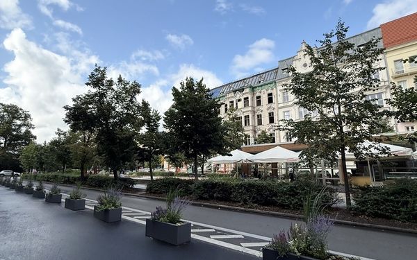 Zdjęcie ogłoszenia 15959624