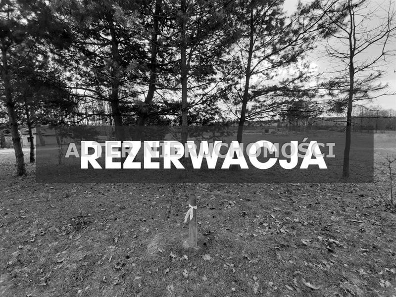 Zdjęcie ogłoszenia -  