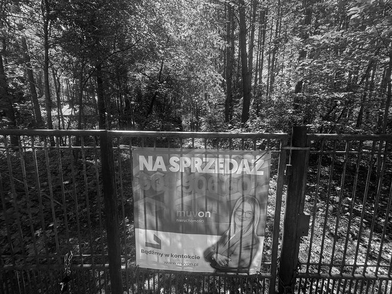 Zdjęcie ogłoszenia -  