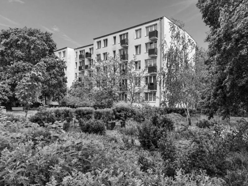 Zdjęcie ogłoszenia -  