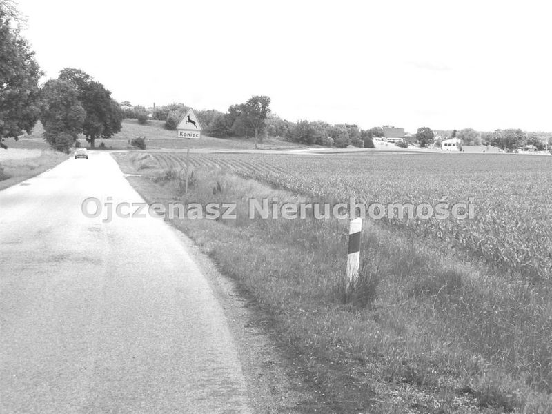 Zdjęcie ogłoszenia -  