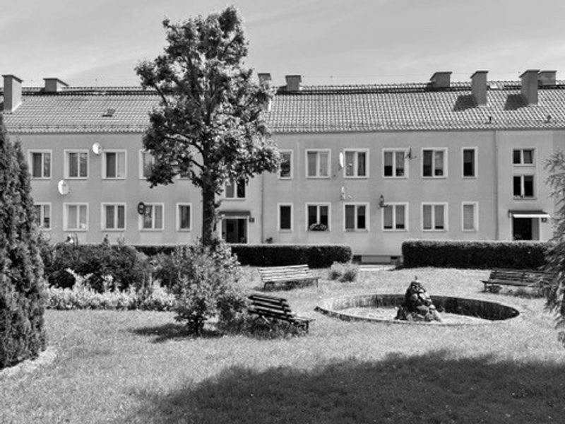 Zdjęcie ogłoszenia -  