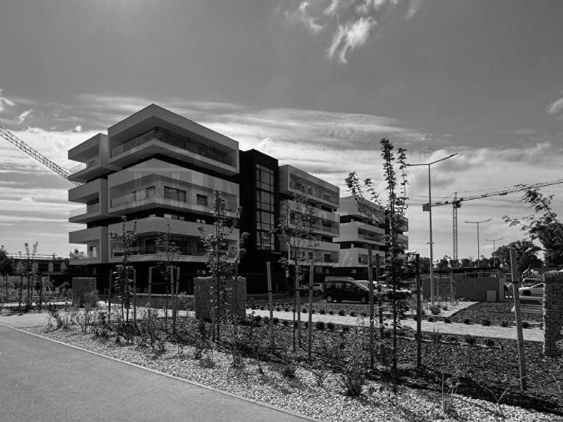 Zdjęcie ogłoszenia -  