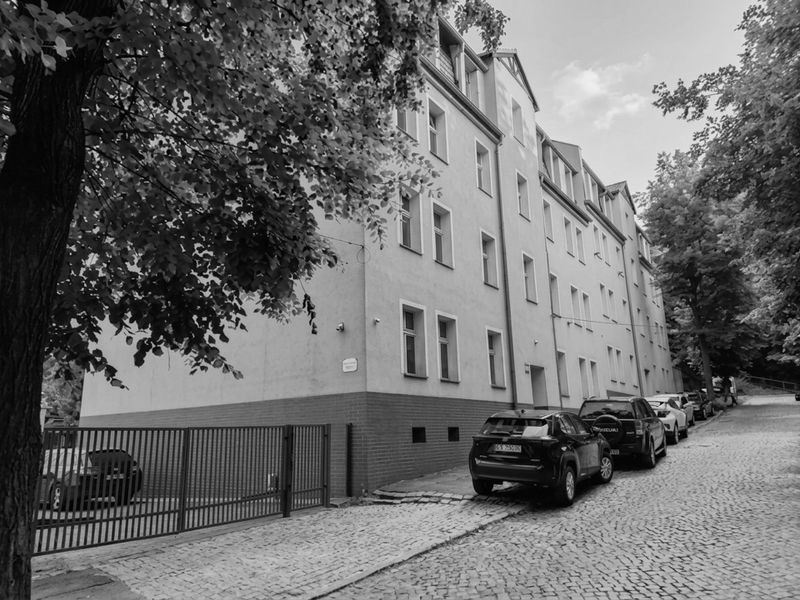 Zdjęcie ogłoszenia -  