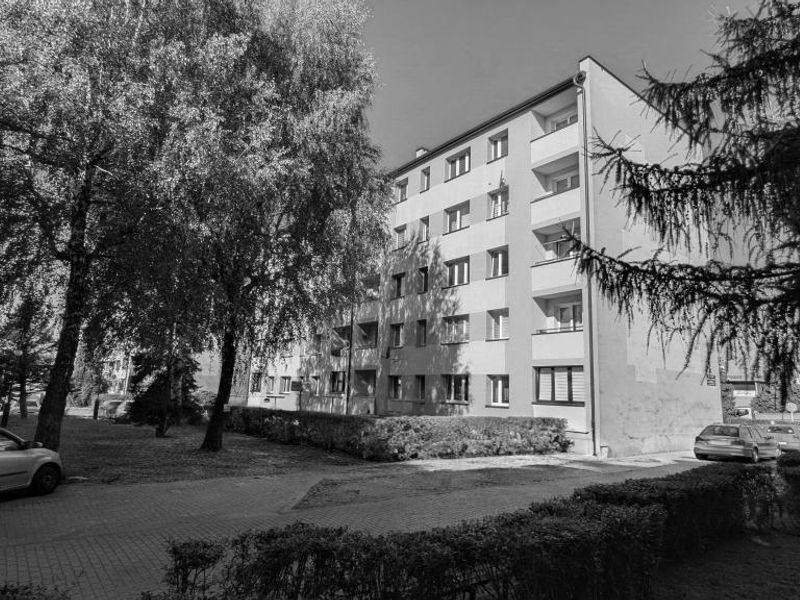 Zdjęcie ogłoszenia -  