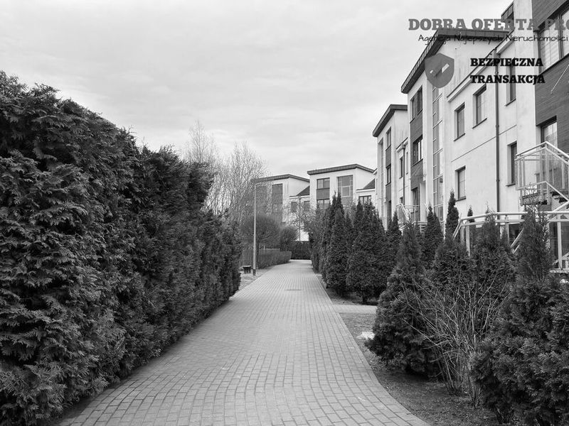 Zdjęcie ogłoszenia -  