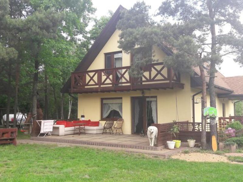 Zdjęcie ogłoszenia -  