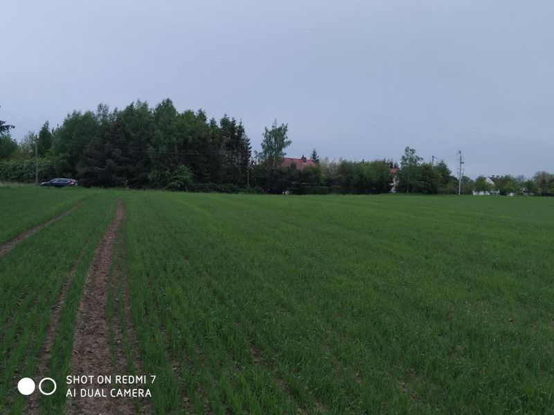 Zdjęcie ogłoszenia -  