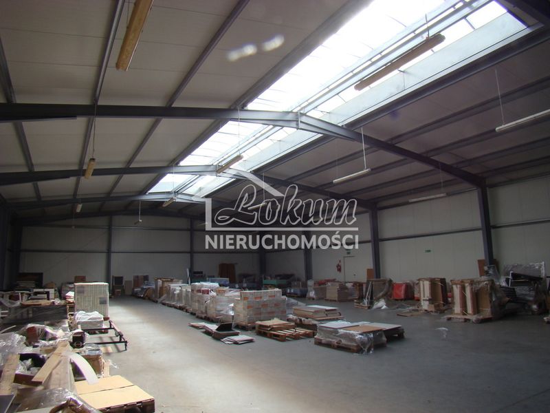 Lokal usługowy do wynajęcia, 570 m², Kurów - ID: 14320247