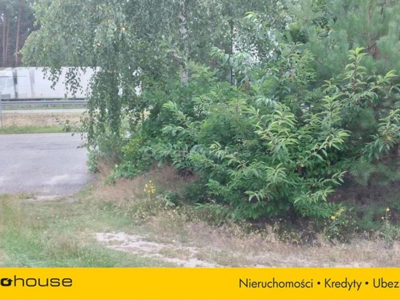 Zdjęcie ogłoszenia -  