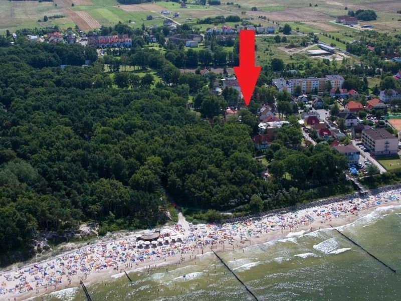 Zdjęcie ogłoszenia -  