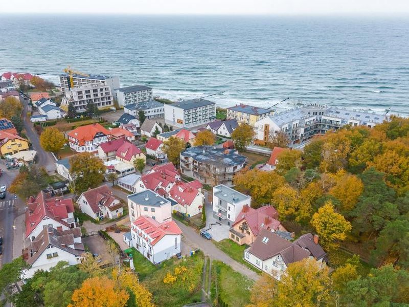 Zdjęcie ogłoszenia -  