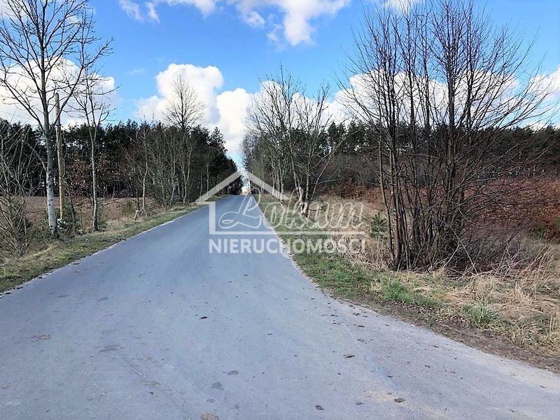 Działka rolna 2800&nbsp;m², Sosnowice - ID: 14944217