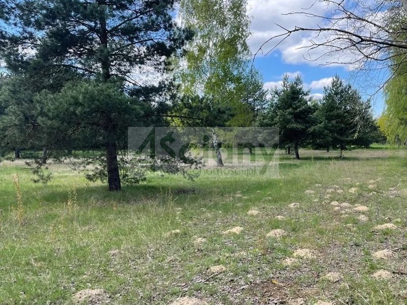 Działka budowlana 1235&nbsp;m², Ojrzanów - ID: 15118067