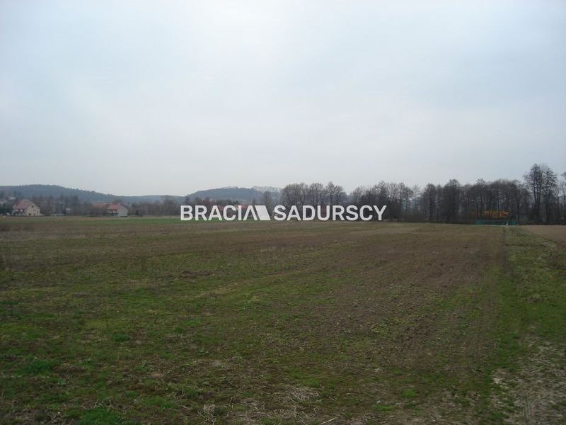 Zdjęcie ogłoszenia -  