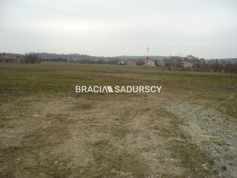 Zdjęcie ogłoszenia -  