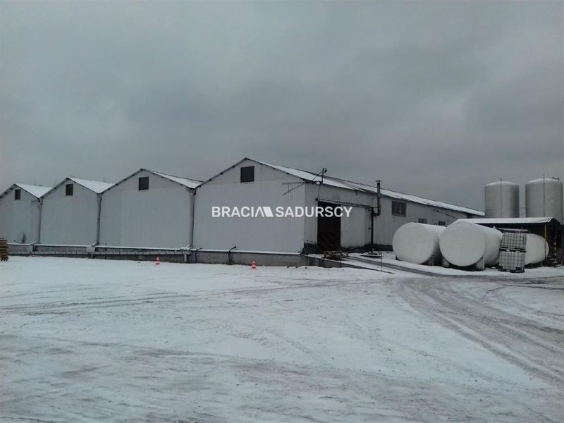 Zdjęcie ogłoszenia -  