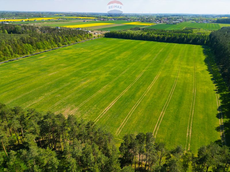 Zdjęcie ogłoszenia -  