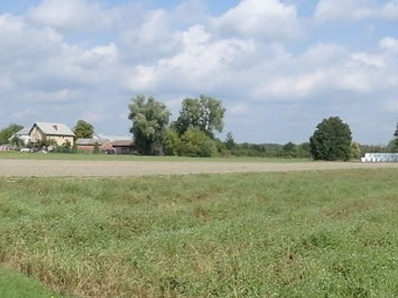 Zdjęcie ogłoszenia -  
