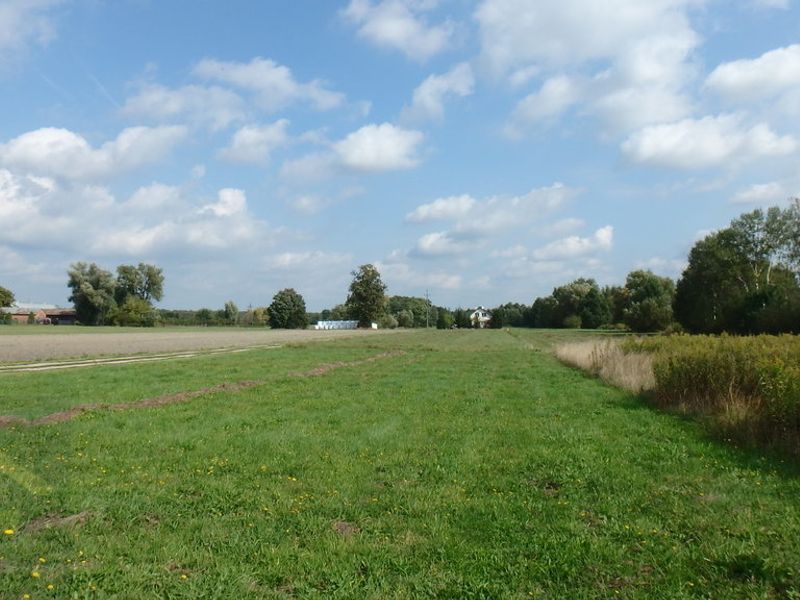 Zdjęcie ogłoszenia -  