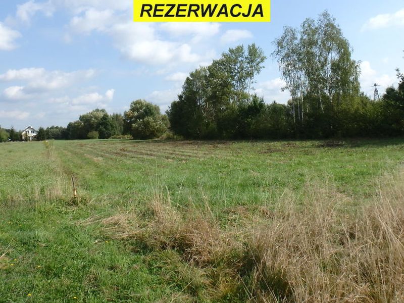Zdjęcie ogłoszenia -  