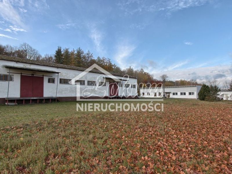 Zdjęcie ogłoszenia -  