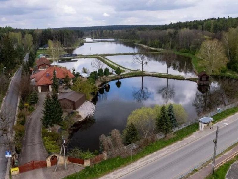 Zdjęcie ogłoszenia -  